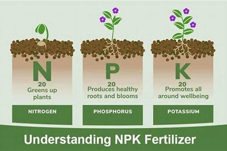 初三化学 N P K 化肥各有什么用