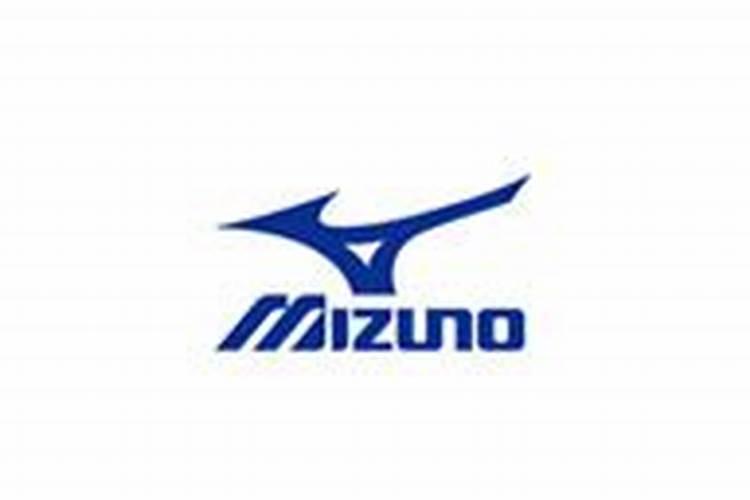 海南美津浓实业有限公司怎么样？