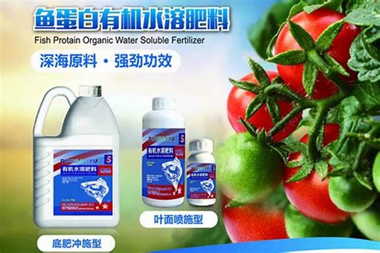 鱼蛋白水溶肥可以浇什么花？