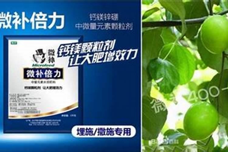 钾肥可以朋果吗