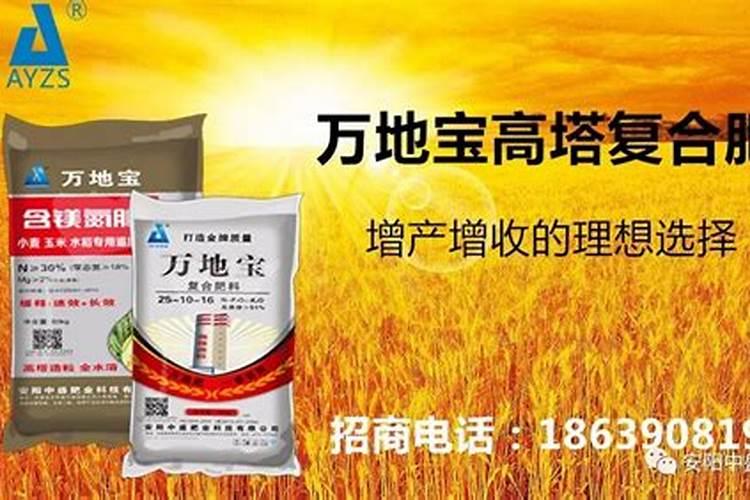 复合肥下雨天用肥效最好