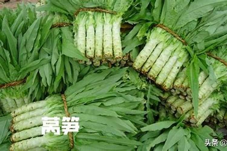 让莴笋长得粗壮高大要用什么肥料