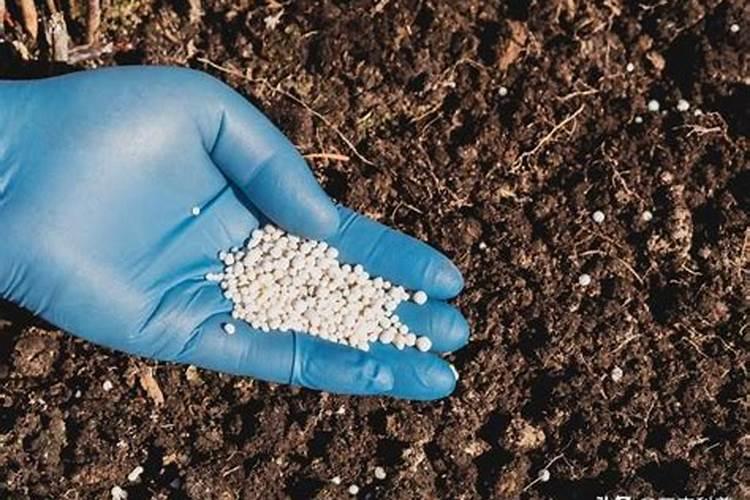 各种尿素的持效期是多久