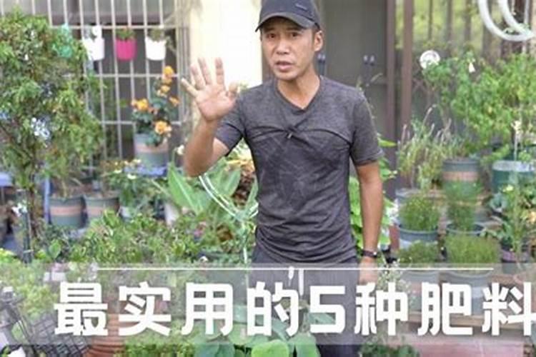 养花用这几种肥料最好