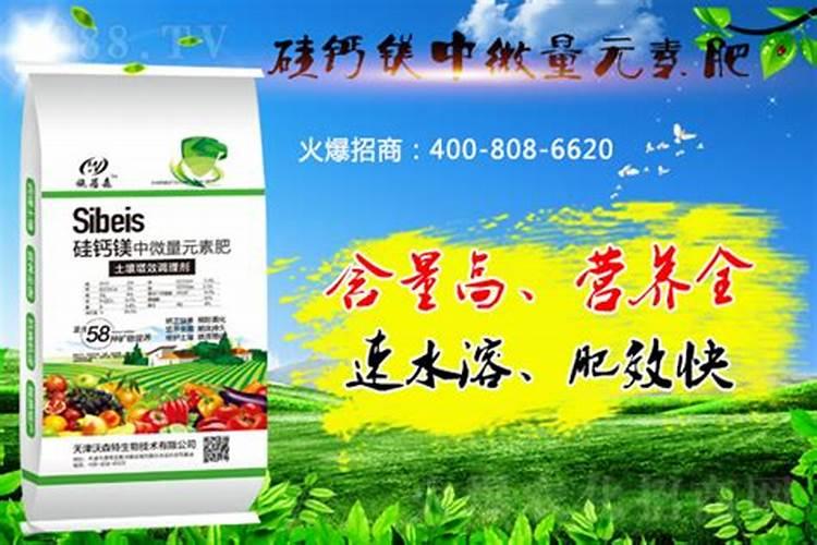 果树施用硅肥有哪些好处