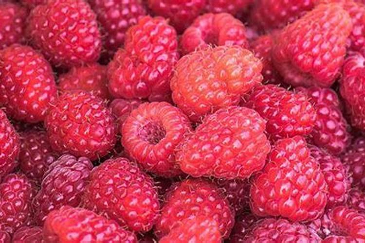 请问大家树莓应该施什么肥？谢谢