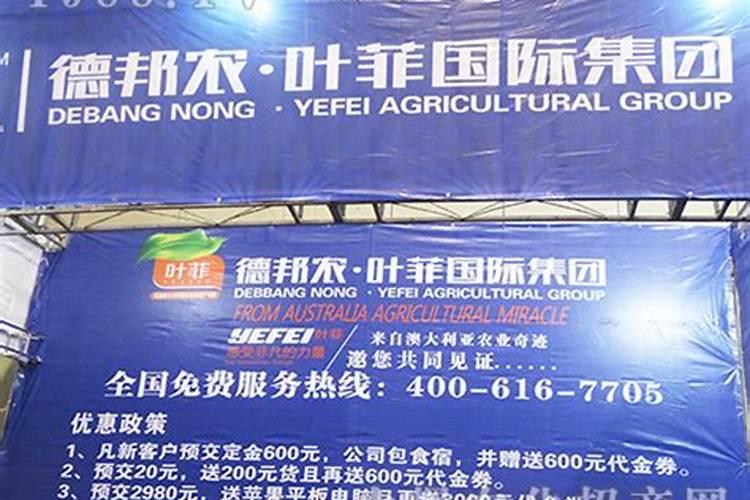 叶菲集团是干啥的公司