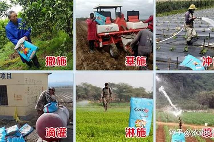 水溶肥该如何进行选择