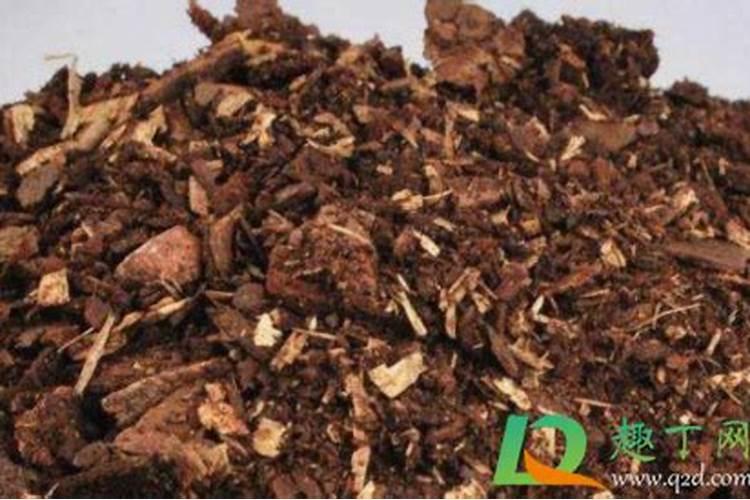 中药渣可以做花肥吗,中药渣可以直接种花吗(不可以)