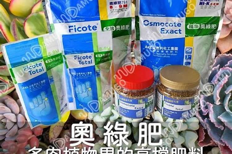 多肉肥料哪种好