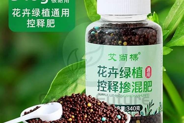 多肉植物要选择控释肥还是缓释肥