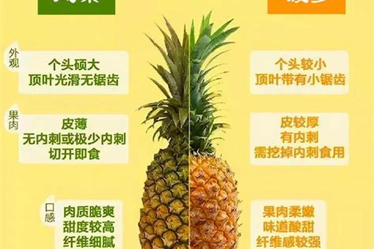 凤梨和菠萝有哪些不同？