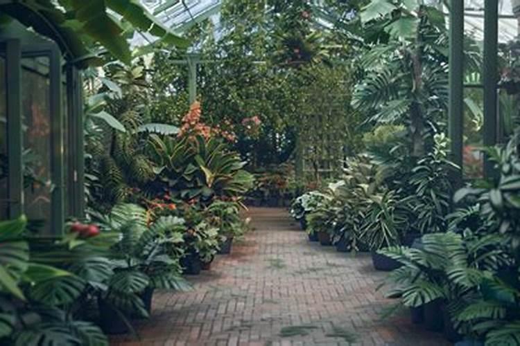 多少温度不能施肥