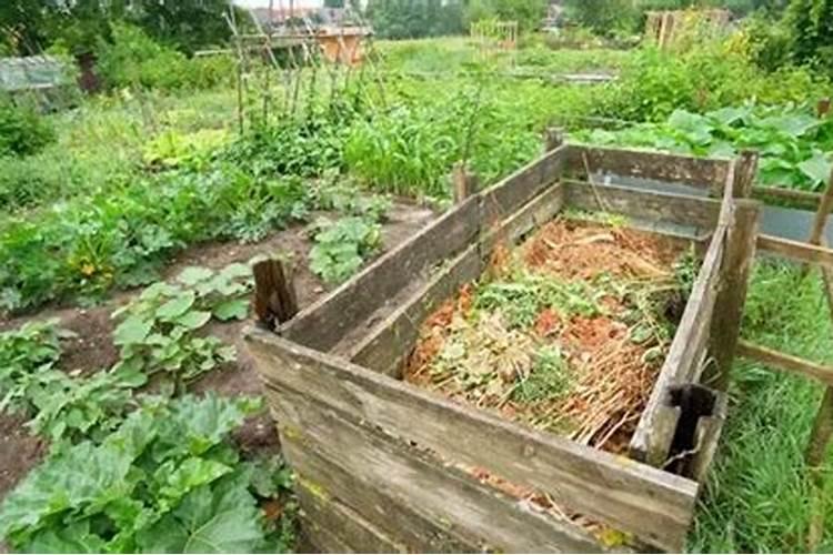 蔬菜堆肥时怎么加入氮和其他元素