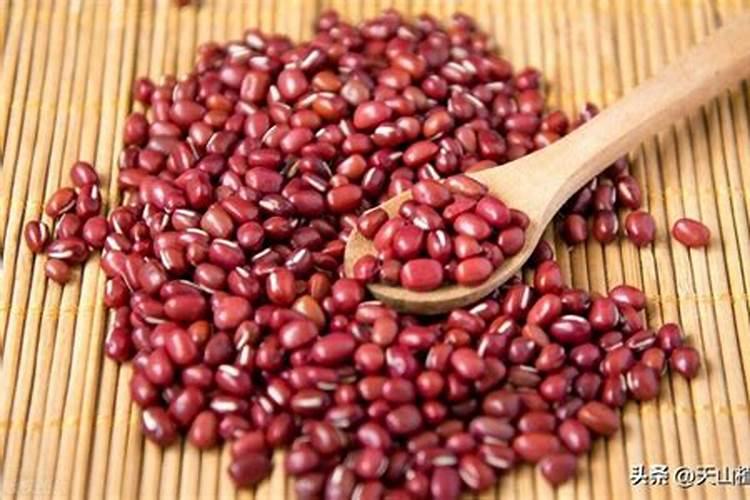 红豆种植方法