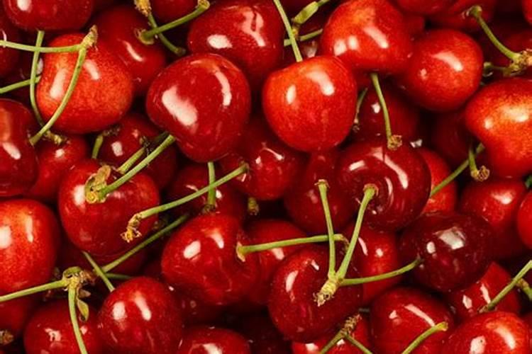 樱桃树不同的生长阶段,对水肥的要求都有哪些？