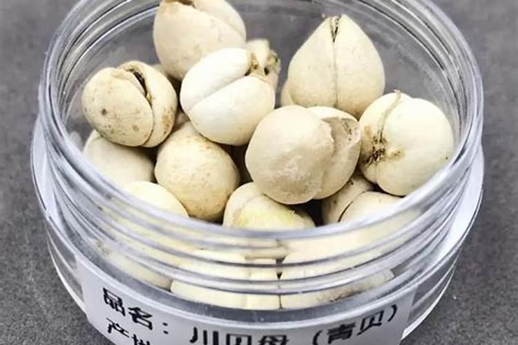 平贝母用哪种叶面肥好一点？