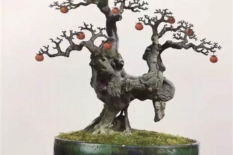 养金弹子10大忠告