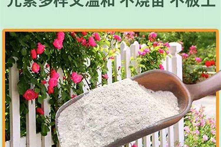 骨粉适合什么花当肥料、骨粉肥的注意事项