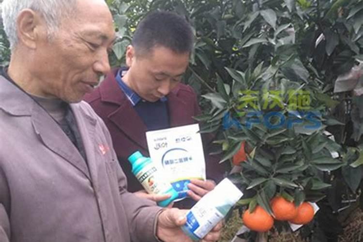 钙肥的作用及施用方法 钙肥对作物的主要作用