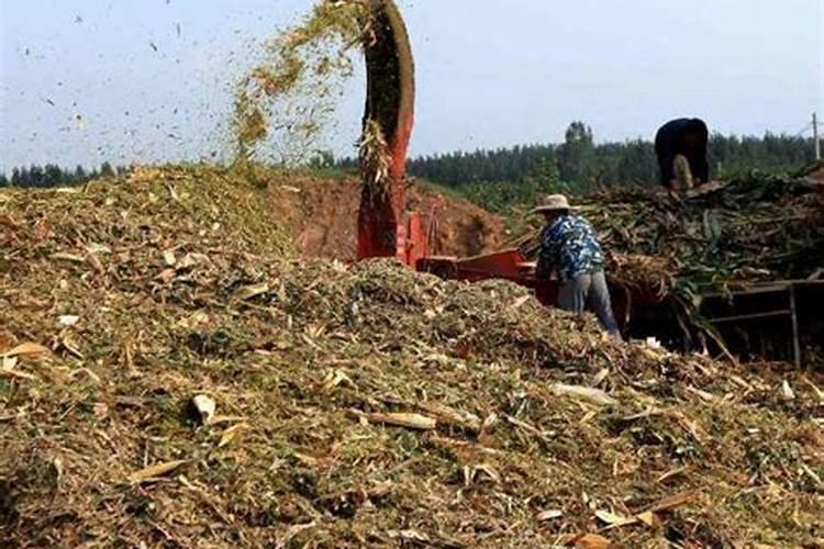 最好的秸子肥料是那个？