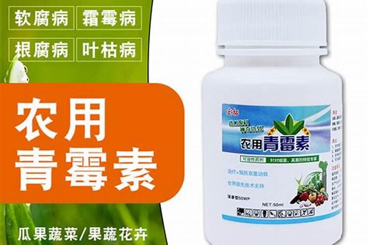 作物细菌真菌病毒常用药