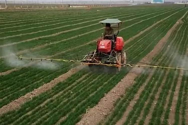 2022年打算规模化种植小麦,想了解一下小麦的除草剂有哪些？