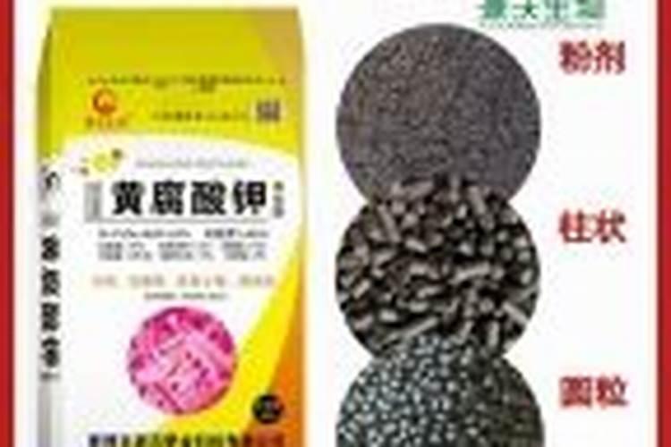硝酸钙钾肥料多少钱一斤？