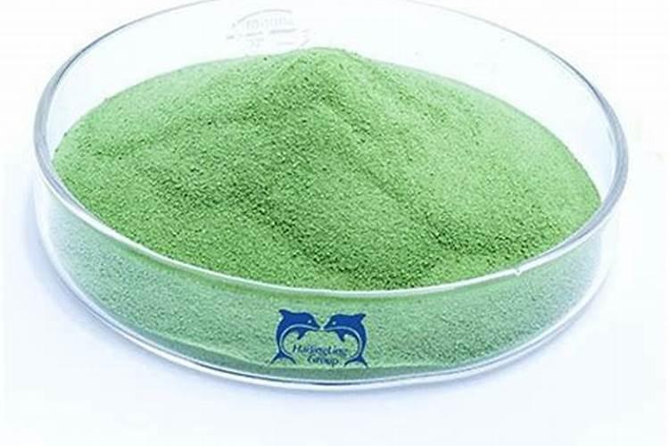 进口的海藻精哪个牌子的好