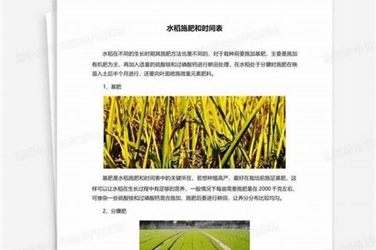 农村水稻施肥时间和方法有哪些 农村水稻施肥时间和方法