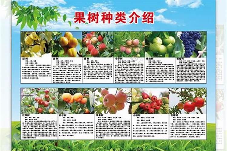 果树需要的17种元素