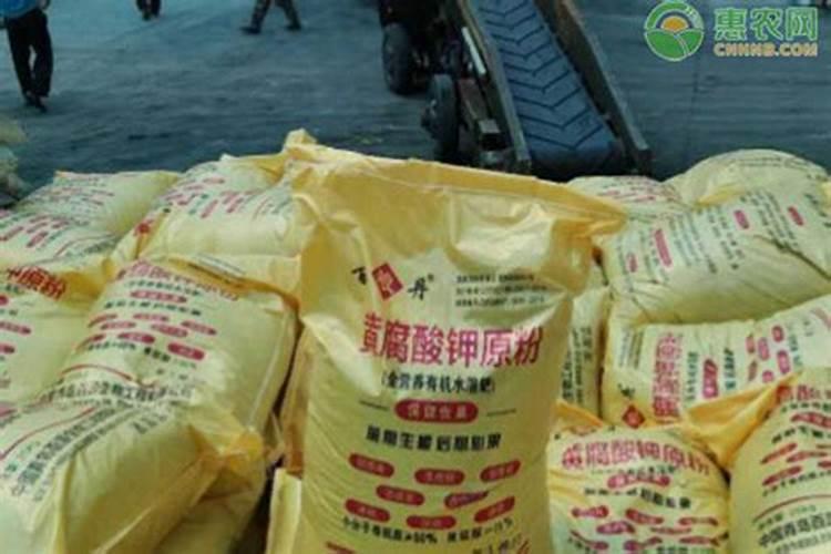 黄腐酸钾使用的禁忌 需要注意什么