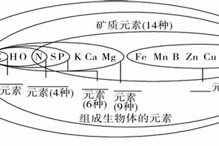 大量元素都包含什么成分和元素？