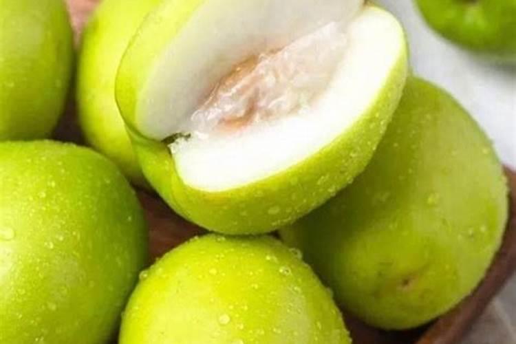 台湾青枣什么时候施硼肥肥料？