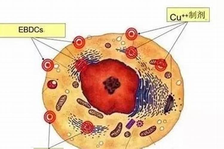 代森锰锌和中微量元素混用有药害吗