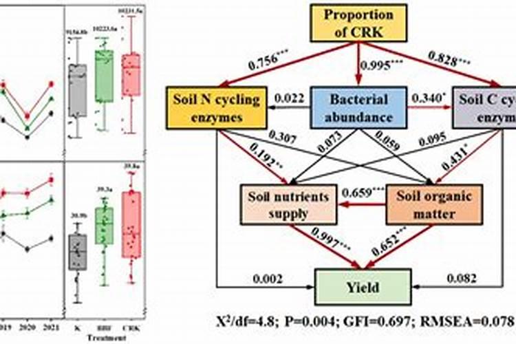 长期施用氯化钾对土壤性状会产生什么影响,如何避免？