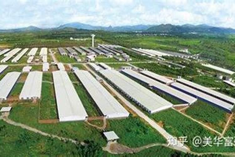 广东美华富硒生物科技有限公司