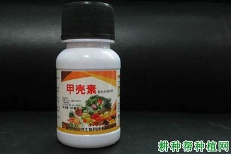 甲壳素肥料有什么功能？使用方法是什么？