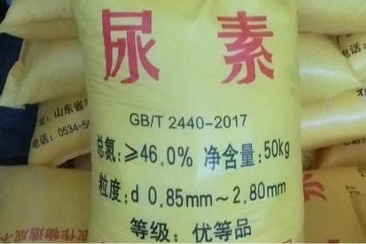 鲁南充矿氮肥多少钱一吨价格？