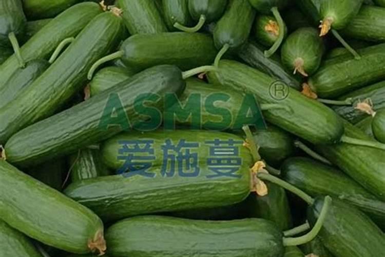 水果黄瓜,冲什么钙肥好？