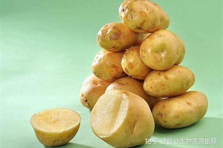 土豆膨大用哪种钾肥好