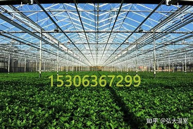 冬季温室大棚如何施肥