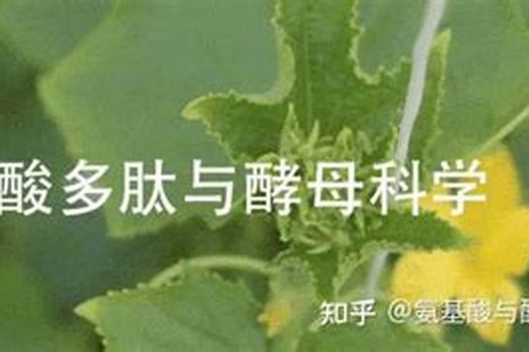 化肥不当用,农田变“毒田”:氮磷钾过量施肥的环境代价