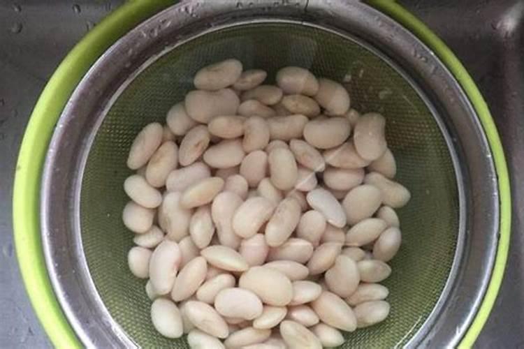 豆子开花不结果怎么回事