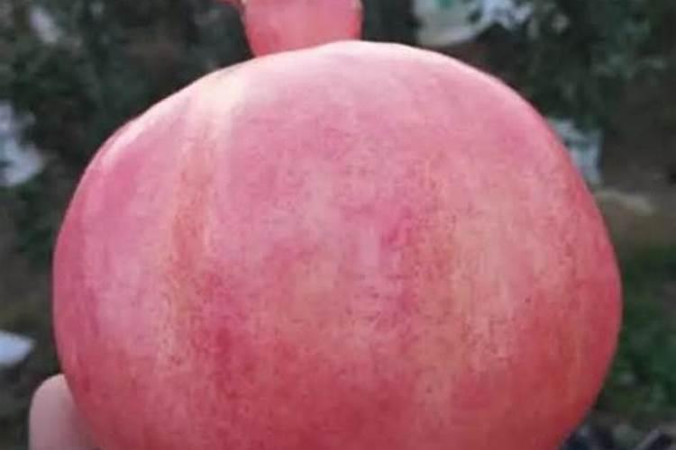 怎样提高果树的抗病能力