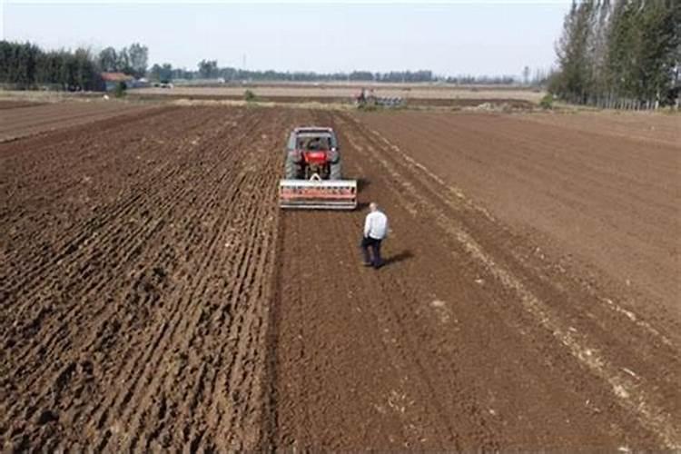 小麦的最佳施肥量是多少