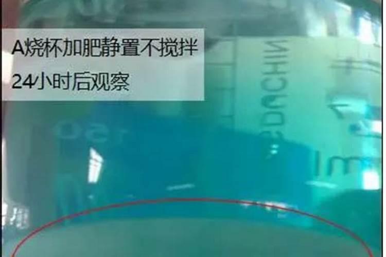 如何加快水溶肥的溶解