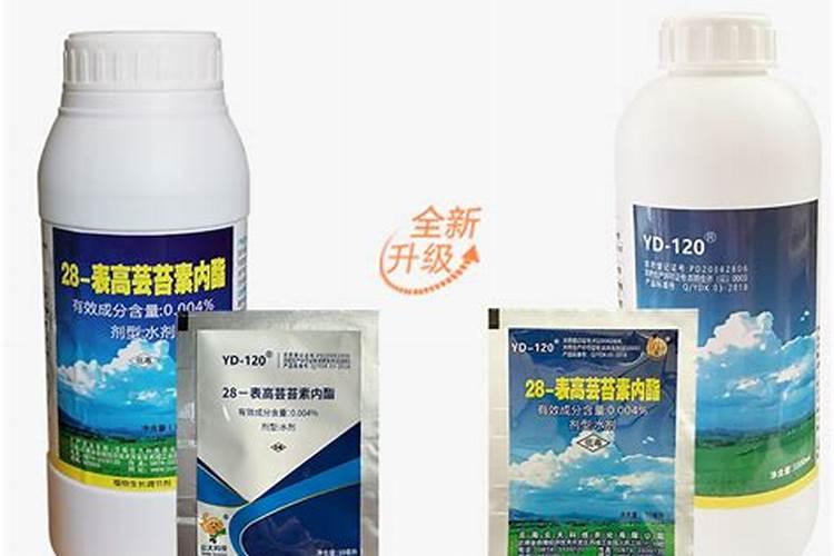 今年荔枝落果严重,云大YD120能否有效预防？