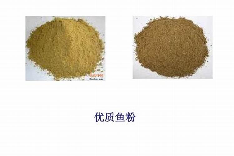 怎么分辨鱼粉的真假？