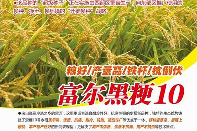 水稻拔节孕穗期水层怎么管理